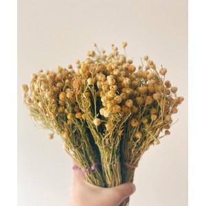 ÜZEELİK DEMEK TÜTSÜ (demet)