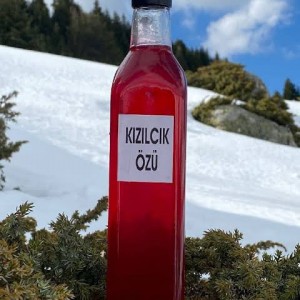 KIZILCIK ÖZÜ (700ml)